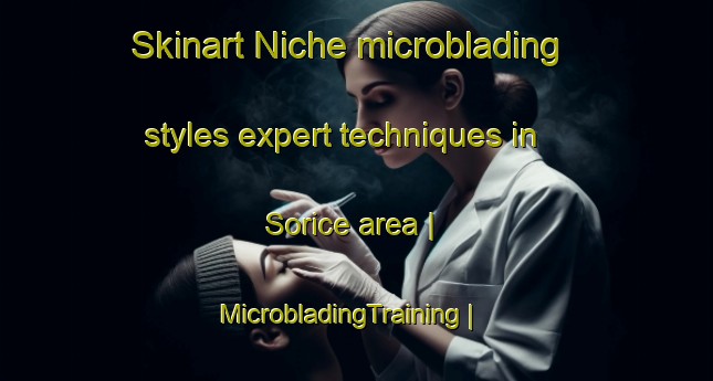 Skinart Niche microblading styles expert techniques in Sorice area | MicrobladingTraining | MicrobladingClasses | SkinartTraining-Albania